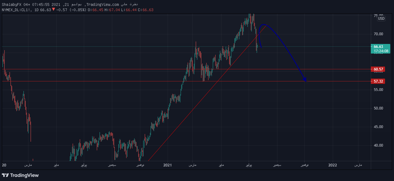 الرسم البياني اليومي للنفط الرسم البياني اليومي للنفط